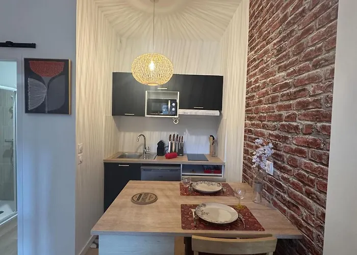 Le Coin Tranquille - Metro - Tram - Parking - Center * 圖盧茲