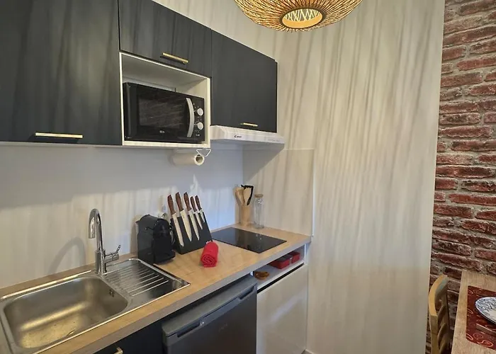 アパート Le Coin Tranquille - Metro - Tram - Parking - Center *